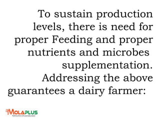 To sustain production
levels, there is need for
proper Feeding and proper
nutrients and microbes
supplementation.
Addressing the above
guarantees a dairy farmer:
 