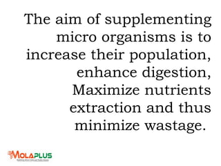 The aim of supplementing
micro organisms is to
increase their population,
enhance digestion,
Maximize nutrients
extraction and thus
minimize wastage.
 
