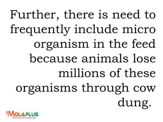 Further, there is need to
frequently include micro
organism in the feed
because animals lose
millions of these
organisms through cow
dung.
 