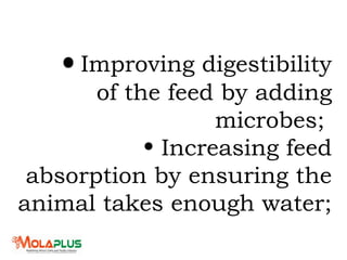 • Improving digestibility
of the feed by adding
microbes;
• Increasing feed
absorption by ensuring the
animal takes enough water;
 