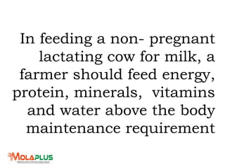 In feeding a non- pregnant
lactating cow for milk, a
farmer should feed energy,
protein, minerals, vitamins
and water above the body
maintenance requirement
 