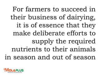 For farmers to succeed in
their business of dairying,
it is of essence that they
make deliberate efforts to
supply the required
nutrients to their animals
in season and out of season
 
