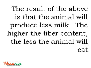 The result of the above
is that the animal will
produce less milk. The
higher the fiber content,
the less the animal will
eat
 