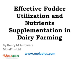 Effective Fodder
Utilization and
Nutrients
Supplementation in
Dairy Farming
By Henry M Ambwere
MolaPlus Ltd
www.molaplus.com
 