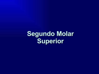 Segundo Molar Superior 