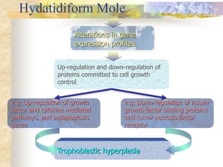Hydatidiform Mole
Alterations in gene
expression profiles
Up-regulation and down-regulation of
proteins committed to cell growth
control
e.g. Up-regulation of growth
factor and cytokine mediated
pathways, and antiapoptosis
genes
Trophoblastic hyperplasia
e.g. Down-regulation of insulin
growth factor binding proteins
and tumor necrosis factor
receptor
 
