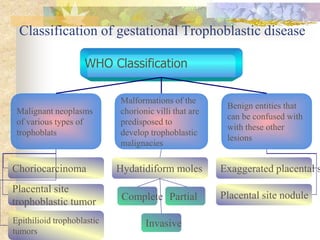 Classification of gestational Trophoblastic disease
WHO Classification
Malignant neoplasms
of various types of
trophoblats
Malformations of the
chorionic villi that are
predisposed to
develop trophoblastic
malignacies
Benign entities that
can be confused with
with these other
lesions
Choriocarcinoma
Complete
Hydatidiform moles
Placental site nodule
Exaggerated placental s
Epithilioid trophoblastic
tumors
Placental site
trophoblastic tumor Partial
Invasive
 