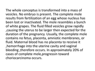 The whole conceptus is transformed into a mass of
vesicles. No embryo is present. The complete mole
results from fertilization of an egg whose nucleus has
been lost or inactivated. The mole resembles a bunch
of white grapes. The fluid filled vesicles grow rapidly
,causing the uterus to be larger then expected for the
duration of the pregnancy. Usually, the complete mole
contains no fetus, placenta, amniotic membranes, or
fluid. Maternal blood has no placenta to receive it
,hemorrhage into the uterine cavity and vaginal
bleeding ,therefore occurs. In approximately 20% of
cases of complete mole,progressin toward
choriocarcinoma occurs.
 