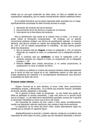 17
olvidar que en una gran proporción de estos casos, se trata en realidad de una
superposición radiográfica, que no implica necesariamente relación anatómica íntima.
Se ha podido demostrar que los signos siguientes están asociados con un riesgo
significativamente aumentado de daño nervioso durante la cirugía;
1. Desviación del conducto del nervio dentario.
2. Oscurecimiento de la raíz donde es cruzada por el conducto.
3. Interrupción de la línea blanca del conducto.
Para la identificación más exacta de la relación entre el molar y el nervio, se
puede utilizar la tomografía computarizada. Sin embargo, con un aparato
convencional podemos emplear una técnica de paralelización aplicada al conducto
dentario; esta técnica consiste en realizar dos radiografías intrabucales en posición
de +10º y -10º en relación perpendicular la mandíbula. De esta manera pueden
darse tres situaciones:
1- Que el conducto esté por lingual; al hacer la radiografía a -10º, el conducto
desciende con respecto al molar, en comparación con la radiografía tomada a
+10º.
2- Que el conducto esté por vestibular; al hacer la radiografía a-10º, el
conducto asciende con respecto al molar, en comparación con la radiografía
tomada a + 10º.
3- Relación íntima entre ambas estructuras; si en ambas proyecciones, la
superposición no varía, la relación es íntima.
Si se observa un defecto en el techo del conducto dentario implica generalmente
que el nervio se sitúa por lingual de la raíz, debiéndose realizar en este caso una
amplia osteotomía por vestibular y la correspondiente odontosección para disminuir
la posibilidad de lesión del nervio.
El tercer molar inferior
Órgano Terminal de la serie dentaria, el tercer molar tiene características
morfológicas propias y diferenciales. Es el diente que presenta mayores variedades
de formas, tamaño, disposición y anomalías.
Por lo general el tercer molar es birradicular. La raíz mesial que puede ser
bífida es aplastada en sentido mesiodistal., y algo más ancha en su porción bucal
que en la lingual. La raíz distal tiene características parecidas, aunque por lo general
su dimensión mesiodistal es menor que la de la raíz mesial.
Son frecuentes los molares con tres, cuatro y cinco raíces; correlativamente,
resulta una disposición radicular caprichosa, pues escapa a toda norma particular.
La disposición de las raíces del tercer molar, puede sistematizarse según los
detalles que se estudian en siguiente figura:
Radiográficamente la dirección y tamaño radicular configuran el problema más
importante de entre todos los otros, puesto que las maniobras destinadas a eliminar
 