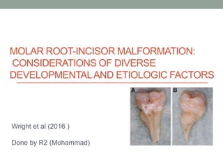 MOLAR ROOT-INCISOR MALFORMATION:
CONSIDERATIONS OF DIVERSE
DEVELOPMENTALAND ETIOLOGIC FACTORS
Wright et al (2016 )
Done by R2 (Mohammad)
 