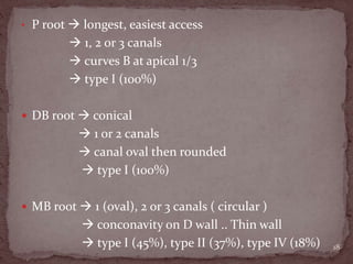 • P root  longest, easiest access
 1, 2 or 3 canals
 curves B at apical 1/3
 type I (100%)
 DB root  conical
 1 or 2 canals
 canal oval then rounded
 type I (100%)
 MB root  1 (oval), 2 or 3 canals ( circular )
 conconavity on D wall .. Thin wall
 type I (45%), type II (37%), type IV (18%) 18
 