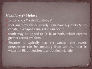 Maxillary 3rd Molar :
 Erupt: 17-22 Y, calcific.: 18-25 Y
 root anatomy varies greatly.. can have 1-4 roots & 1-6
canals, C-shaped canals also can occur.
 tooth may be tipped to D, B, or both, which creates
greater access problem.
 Because it typically has 1-3 canals,, the access
preparation can be anything from an oval that is
widest in BL dimension to a rounded triangle.
21
 