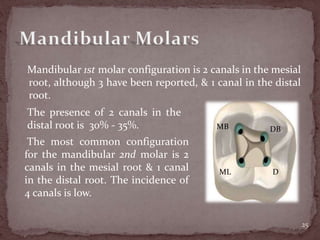 Mandibular 1st molar configuration is 2 canals in the mesial
root, although 3 have been reported, & 1 canal in the distal
root.
25
The presence of 2 canals in the
distal root is 30% - 35%. MB DB
ML D
The most common configuration
for the mandibular 2nd molar is 2
canals in the mesial root & 1 canal
in the distal root. The incidence of
4 canals is low.
 