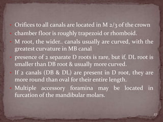 • Orifices to all canals are located in M 2/3 of the crown
• chamber floor is roughly trapezoid or rhomboid.
• M root, the wider.. canals usually are curved, with the
greatest curvature in MB canal
• presence of 2 separate D roots is rare, but if, DL root is
smaller than DB root & usually more curved.
• If 2 canals (DB & DL) are present in D root, they are
more round than oval for their entire length.
• Multiple accessory foramina may be located in
furcation of the mandibular molars.
27
 