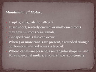 Mandibular 3rd Molar :
• Erupt: 17-21 Y, calcific.: 18-25 Y
• Fused short, severely curved, or malformed roots
• may have 1-4 roots & 1-6 canals
• C-shaped canals also can occur
• When 3 or more canals are present, a rounded triangle
or rhomboid shaped access is typical.
• When2 canals are present, a rectangular shape is used.
For single-canal molars, an oval shape is customary
33
 