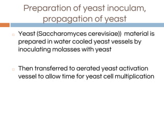 Preparation of yeast inoculam,
propagation of yeast
◻ Yeast (Saccharomyces cerevisiae)) material is
prepared in water cooled yeast vessels by
inoculating molasses with yeast
◻ Then transferred to aerated yeast activation
vessel to allow time for yeast cell multiplication
 