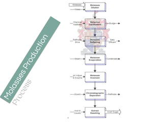 MolassesProduction
Process
 