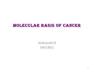 MOLECULAR BASIS OF CANCER 
Nethravathi R 
GN113011 
1 
 