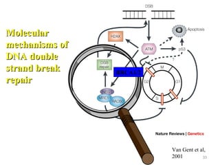Molecular basis of Cancer | PPT