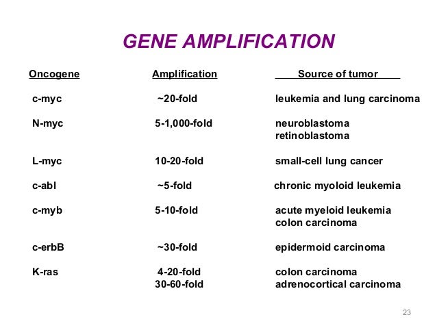 What is gene amplification?