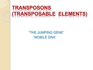 “THE JUMPING GENE”
“MOBILE DNA”
 