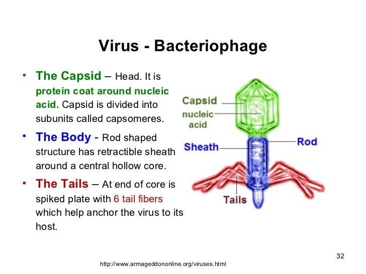 molecular-biology-1-2