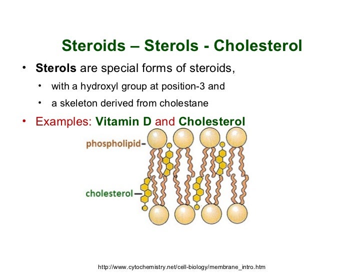 Molecular Biology 13