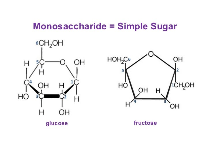 Molecular Biology 13