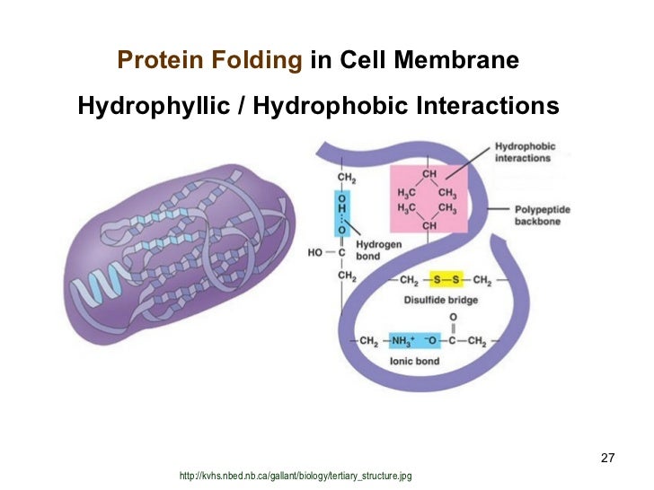 Molecular Biology 14