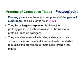 Proteins of Connective Tissue - Proteoglycin
• Proteoglycans are the major component of the ground
  substance (non-cellular parts of ECM).
• They form large complexes, both to other
  proteoglycans, to hyaluronan and to fibrous matrix
  proteins (such as collagen).
• They are also involved in binding cations (such as
  sodium, potassium and calcium) and water, and also
  regulating the movement of molecules through the
  matrix.
 