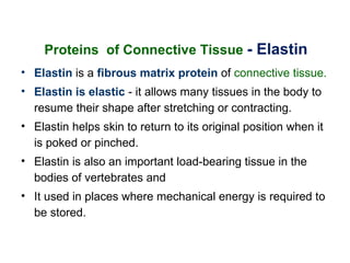 Proteins of Connective Tissue - Elastin
• Elastin is a fibrous matrix protein of connective tissue.
• Elastin is elastic - it allows many tissues in the body to
  resume their shape after stretching or contracting.
• Elastin helps skin to return to its original position when it
  is poked or pinched.
• Elastin is also an important load-bearing tissue in the
  bodies of vertebrates and
• It used in places where mechanical energy is required to
  be stored.
 