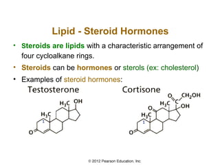 Lipid - Steroid Hormones
• Steroids are lipids with a characteristic arrangement of
  four cycloalkane rings.
• Steroids can be hormones or sterols (ex: cholesterol)
• Examples of steroid hormones:
 