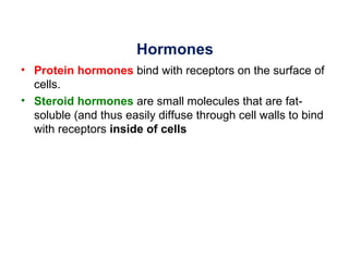 Hormones
• Protein hormones bind with receptors on the surface of
  cells.
• Steroid hormones are small molecules that are fat-
  soluble (and thus easily diffuse through cell walls to bind
  with receptors inside of cells
 