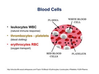 Blood Cells


• leukocytes WBC
    (natural immune response)

• thrombocytes - platelets
    (blood clotting)

• erythrocytes RBC
    (oxygen transport)




http://shs-bio-6th-wood.wikispaces.com/Topic+16-Blood-+Erythrocytes,+Leukocytes,+Platelets,+%26+Plasma
 