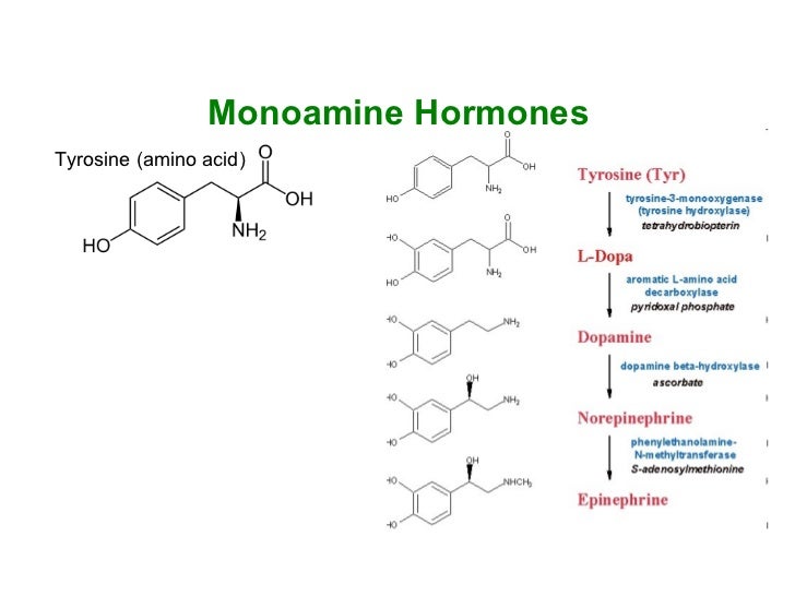Molecular Biology 1 5 molecular-biology-1-5