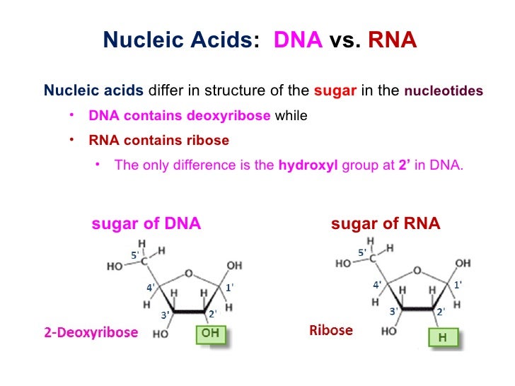 Molecular Biology 17