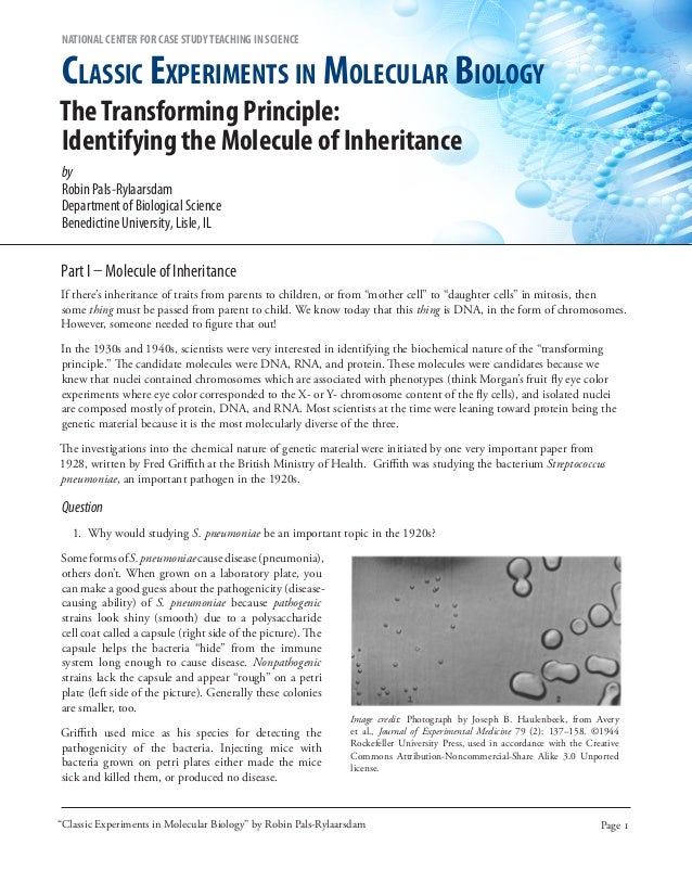 Classic experiments in molecular biology case study answers picture