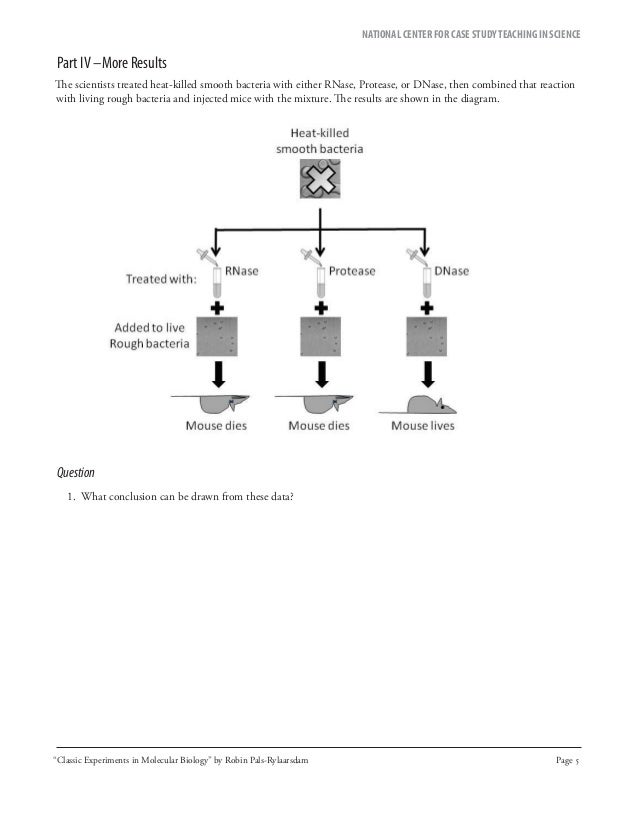 Experiments designed to identify the transforming principle were based on picture