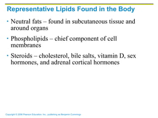 Representative Lipids Found in the Body Neutral fats – found in subcutaneous tissue and around organs Phospholipids – chief component of cell membranes Steroids – cholesterol, bile salts, vitamin D, sex hormones, and adrenal cortical hormones 