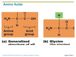 Amino Acids Figure 2.16a–c 