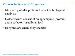 Characteristics of Enzymes Most are globular proteins that act as biological catalysts Holoenzymes consist of an apoenzyme (protein) and a cofactor (usually an ion) Enzymes are chemically specific 