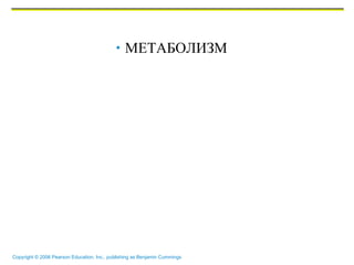МЕТАБОЛИЗМ 