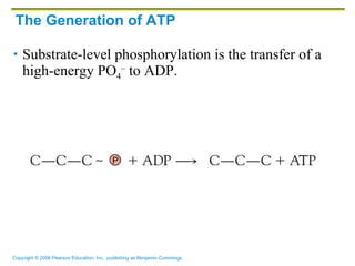 The Generation of ATP Substrate-level phosphorylation is the transfer of a high-energy PO 4 –  to ADP.  