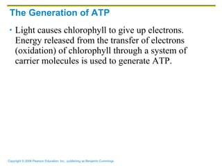The Generation of ATP Light causes chlorophyll to give up electrons. Energy released from the transfer of electrons (oxidation) of chlorophyll through a system of carrier molecules is used to generate ATP. 