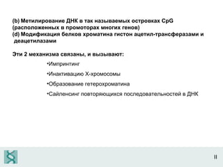 II Метилирование ДНК в так называемых островках  CpG   (расположенных в промоторах многих генов) Модификация белков хроматина   гистон ацетил-трансферазами и деацетилазами Эти 2 механизма связаны, и вызывают: Импринтинг Инактивацию Х-хромосомы Образование гетерохроматина Сайленсинг повторяющихся последовательностей в ДНК 