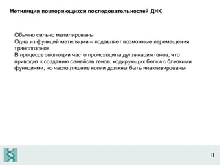 II Метиляция повторяющихся последовательностей ДНК Обычно сильно метилированы Одна из функций метиляции – подавляет возможные перемещения транспозонов В процессе эволюции часто происходила дупликация генов, что приводит к созданию семейств генов, кодирующих белки с близкими функциями, но часто лишние копии должны быть инактивированы 