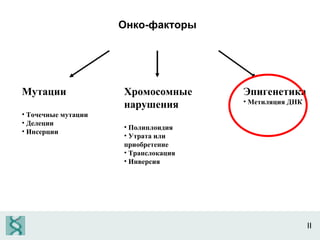 II Онко-факторы Мутации Точечные мутации Делеции Инсерции Хромосомные нарушения Полиплоидия Утрата или приобретение Транслокация   Инверсия Эпигенетика Метиляция ДНК 