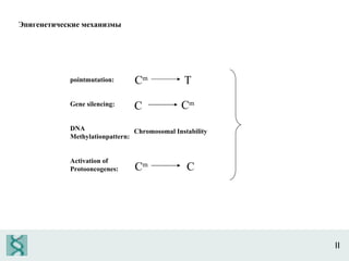 II pointmutation: Gene silencing: DNA  Methylationpattern: Activation of Protooncogenes: C m T C C m Chromosomal Instability C m C Эпигенетические механизмы 