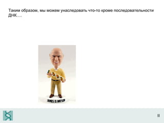 II Таким образом, мы можем унаследовать что-то кроме последовательности ДНК…. 