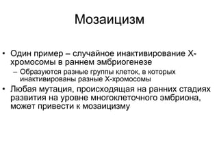 Мозаицизм Один пример – случайное инактивирование Х-хромосомы в раннем эмбриогенезе Образуются разные группы клеток, в которых инактивированы разные Х-хромосомы Любая мутация, происходящая на ранних стадиях развития на уровне многоклеточного эмбриона, может привести к мозаицизму 